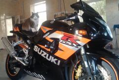 Примерка от сестры) R17 &R18 image #4