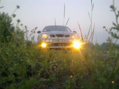 На дачу image #1