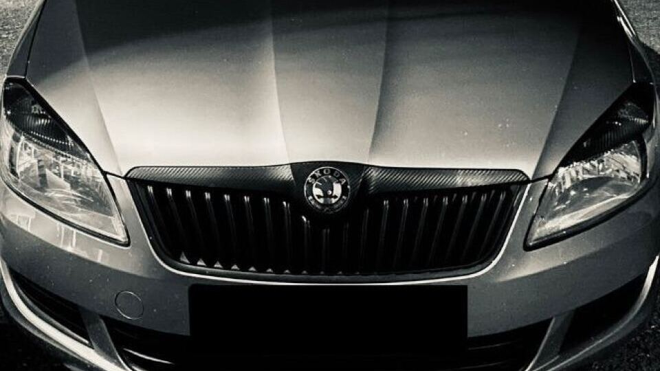 Skoda Fabia Mk2 image #1