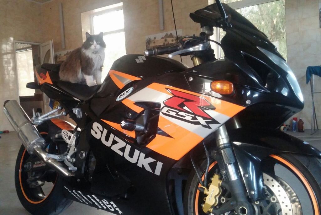 Примерка от сестры) R17 &R18 image #4