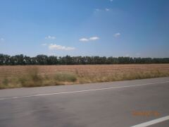 Дорога к морю. image #4