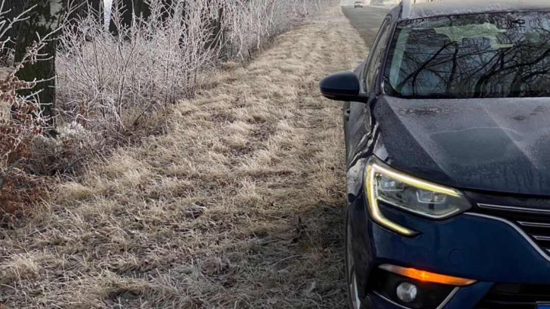 Renault Megane IV image #1