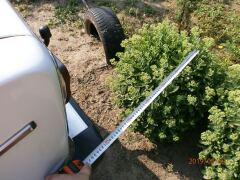 142.Парктроник image #3