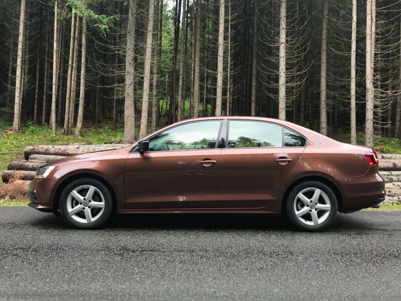 Dark Bronze Metallic image #3