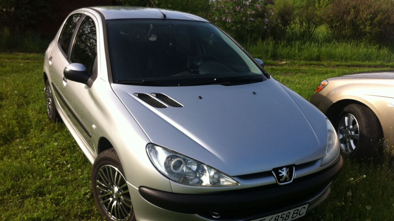 Peugeot 206 image #5