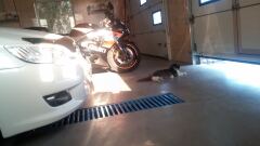 Примерка от сестры) R17 &R18 image #3