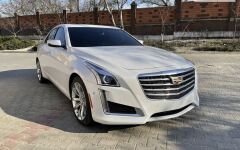 Мордашка под маской CTS