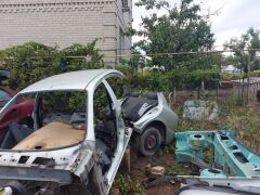 Он будет жить!