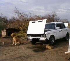 51.Свежая ОЖ. image #1